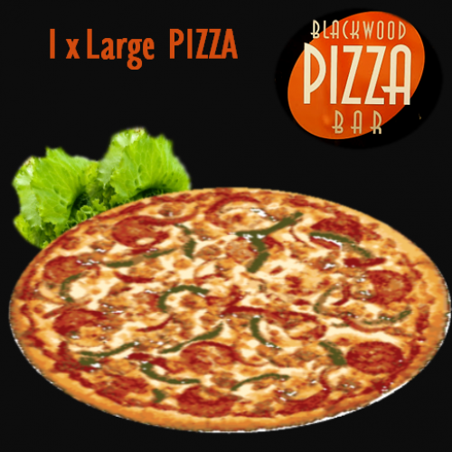 1 Large Pizza - only $13.90
